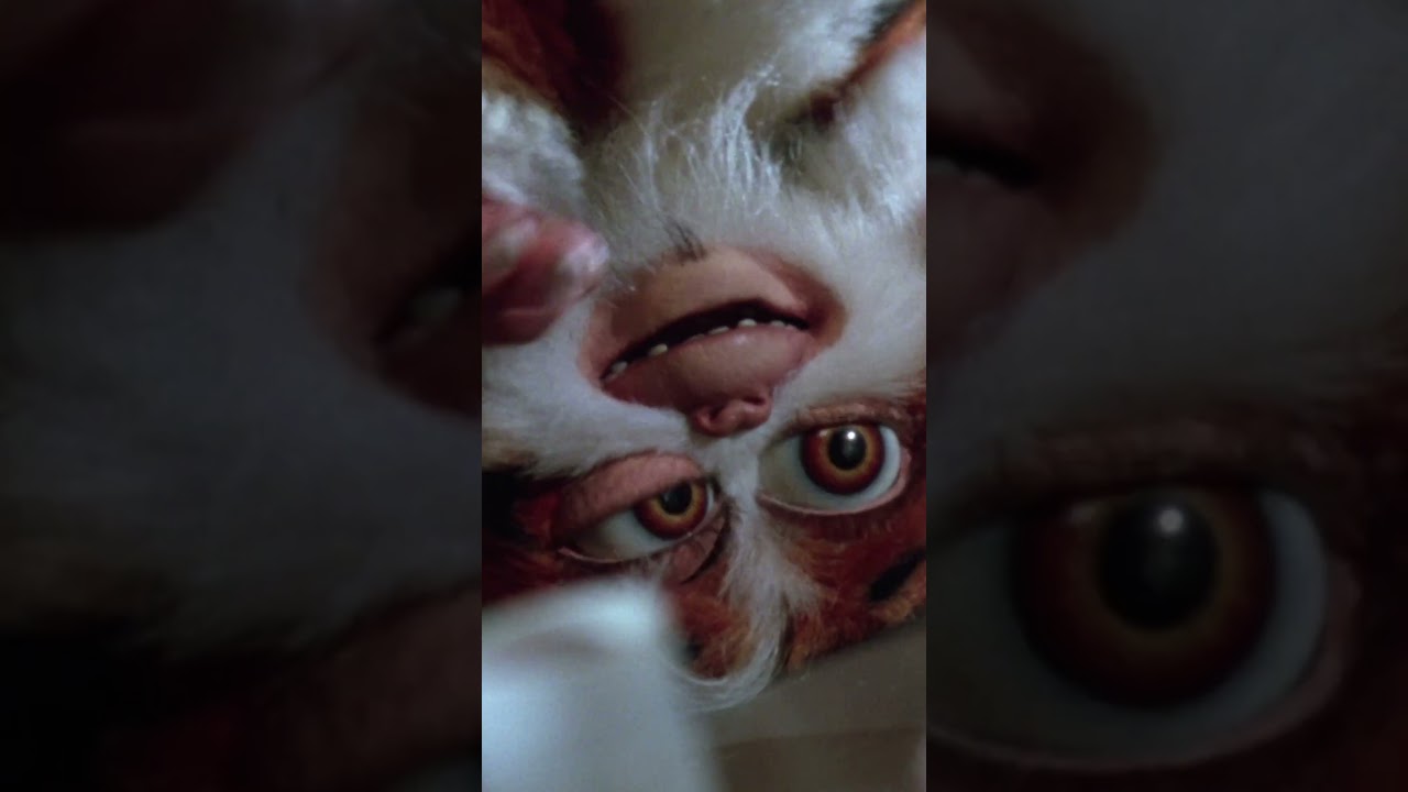 Gremlins 2: Daffy comes flying out of Gizmo's back and instantly goes insane.