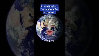 English Literal Translations for Hedgehog!