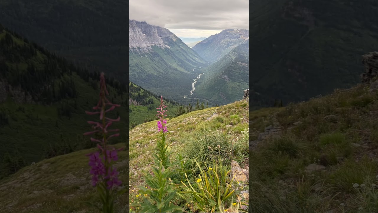 2025 Camera Roll Best