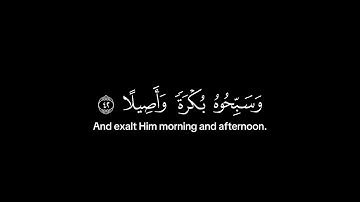 يا ايها الذين امنوا ✨❤️ | سورة الأحزاب من الآية ﴿41﴾ الي الآية ﴿43﴾ | بصوت الشيخ ياسر الدوسري ✨❤️.