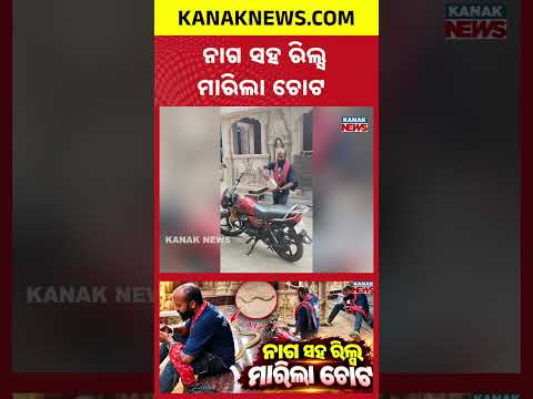 ନାଗ ସହ ରିଲ୍ସ..ମାରିଲା ଚୋଟ | Special Report On Cobra Bite Turns Fatal | Man Dies While Filming Reels