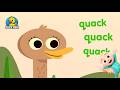 Five Little Ducks | Kids Songs | Nursery Rhymes &amp; Kids Songs | Animal Baby Music | Duckymix Kids TV