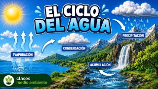 EL CICLO DEL AGUA 💧 | Explicación Fácil | Evaporación, Condensación y Precipitación