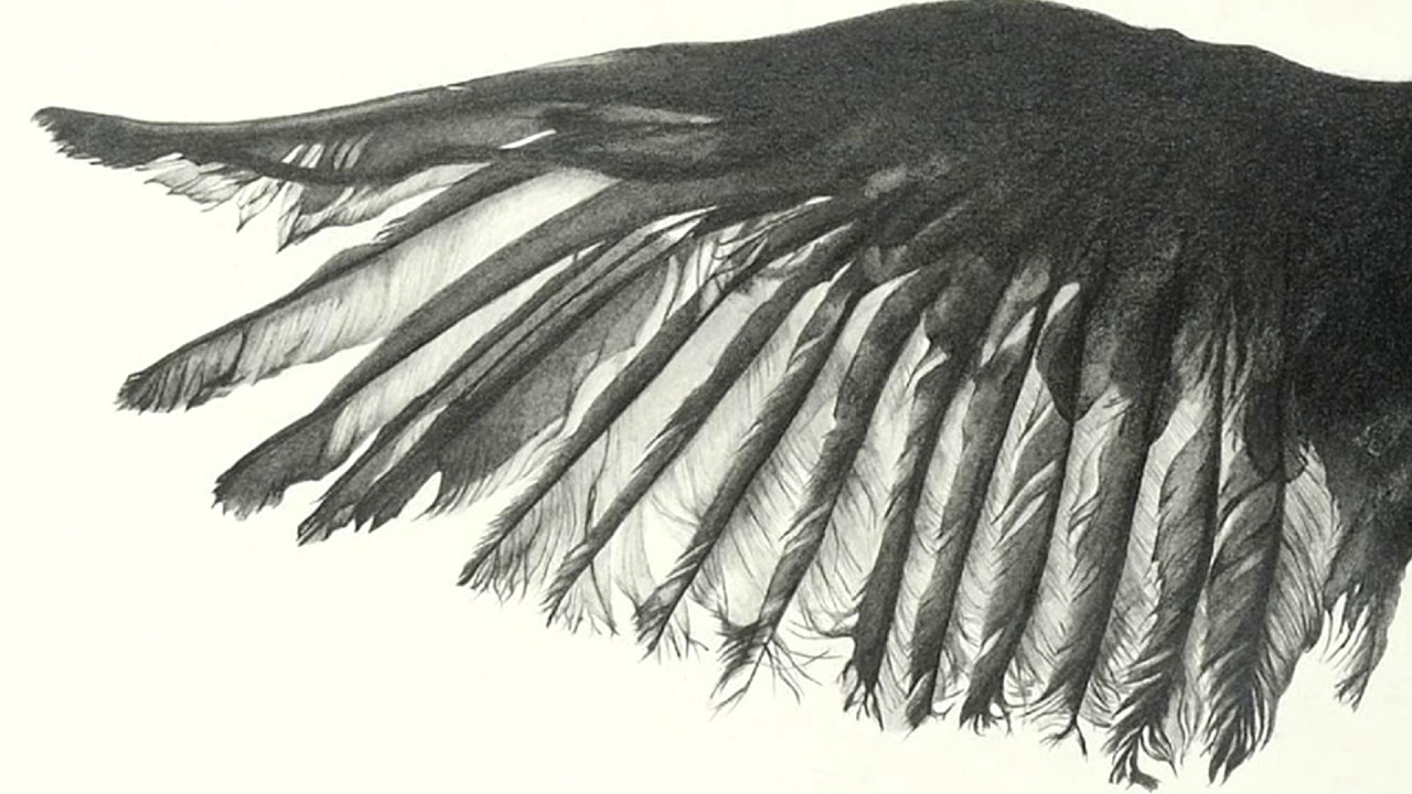 Bad Rites - Bollards FULL EP (2018 - Grindcore / Experimental)