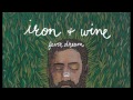 Iron  wine  fever dream