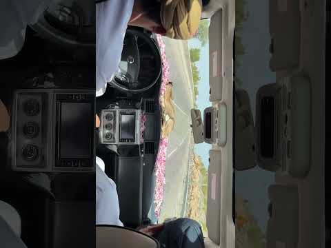 الورد موطن وجنتينك