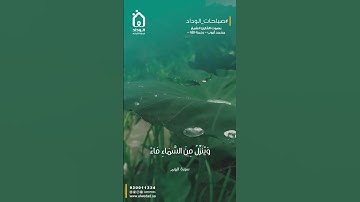 ومن آيته يريكم البرق خوفا وطمعا وينزل من السماء ماء | سورة الروم | الشيخ محمد أيوب رحمه الله