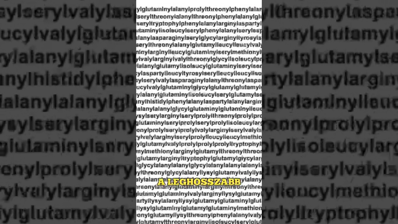 A Leghosszabb Magyar SZÓ 💬😱 