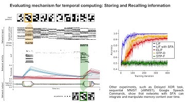 Spike Frequency Adaptation contributes long short-term memory to networks of spiking neurons