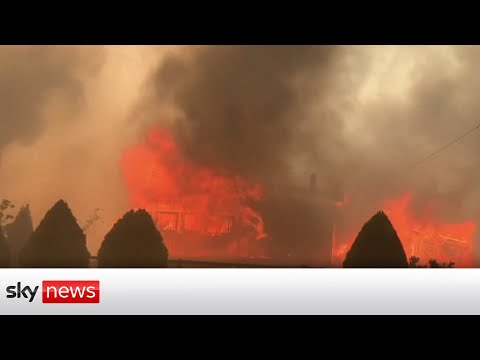 US - Canada heatwave: Canadian town 'burned up in 15 minutes'