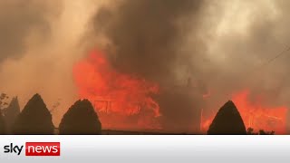 US - Canada heatwave: Canadian town 'burned up in 15 minutes'
