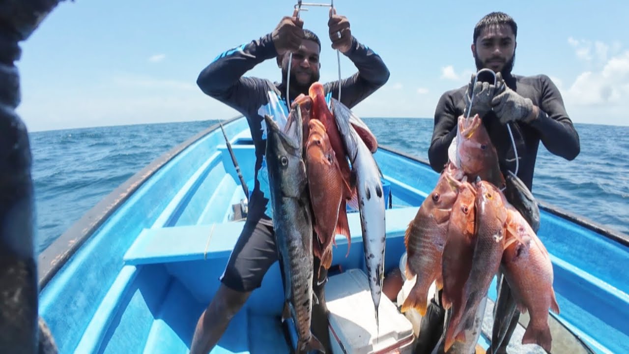 Рыба-монстр на | Чартеры-монстры | на восточном побережье | #Тринидад