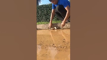 Remove Mud Clogged Culvert Drain #unclog #remove #drain #shorts