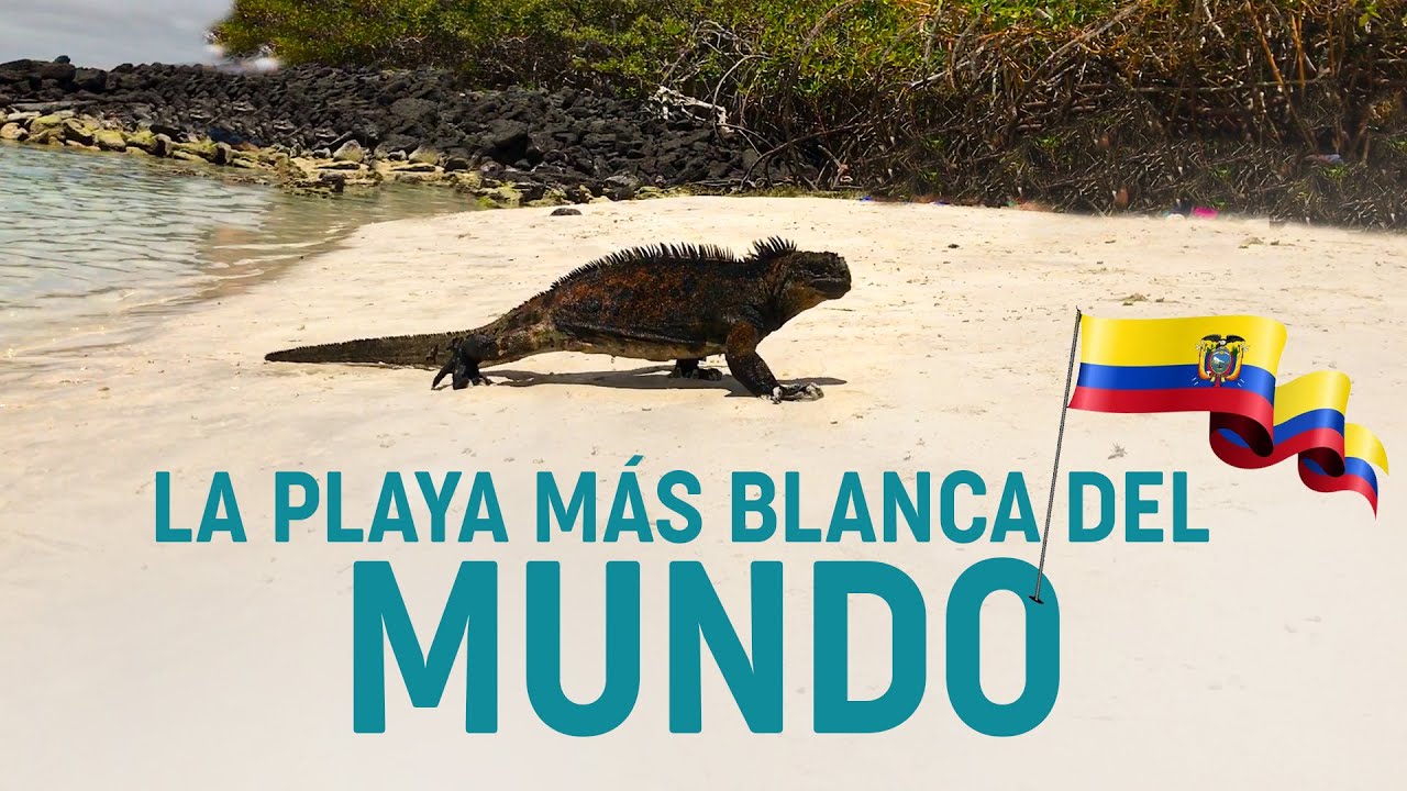 Galápagos - Ecuador | Tortuga Bay + Playa Brava + Playa Mansa