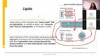 CHE 105  Module 3 Part 1  Lipids