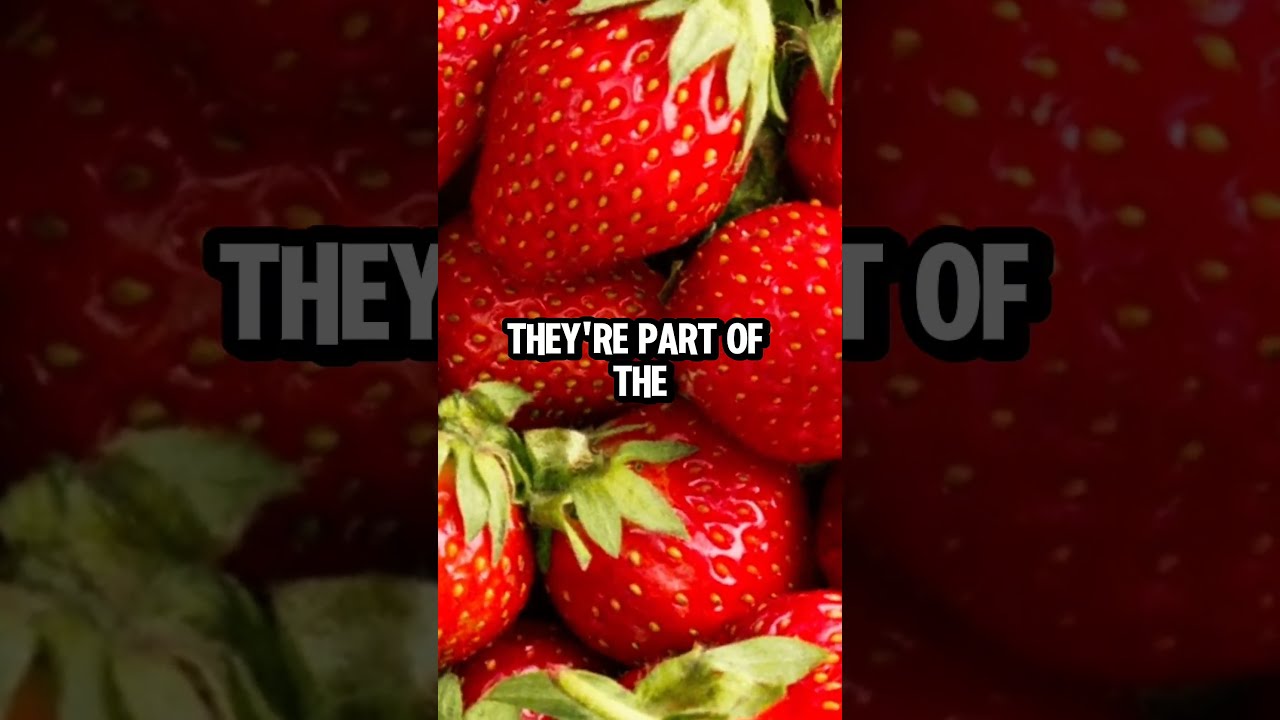 Amazing Strawberry Facts In 25 Seconds Quick Fun StrawberryFacts Shorts FoodFacts