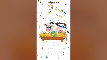 Braindom Draw Puzzle: Sketch #level 167