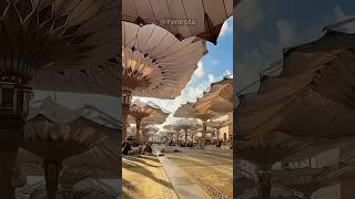 Download Lagu Dünyanın En Büyük Şemsiyeleri! ☂️😱 MP3