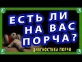 ЕСТЬ ЛИ НА ВАС ПОРЧА? / ДИАГНОСТИКА ПОРЧИ | ЗНАХАРЬ-КИРИЛЛ 🧙‍♂️