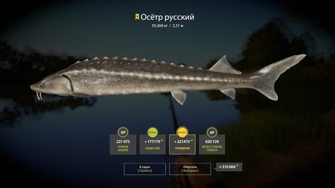 Рр4 ахтуба карта