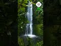 Waterfall #nature #statusvideo #naturelovers #beautiful  #waterfall #latest #viral #shorts