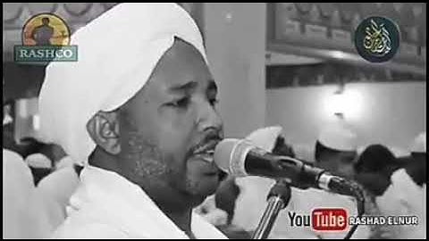 الشيخ الزين محمد احمد سوره يوسف