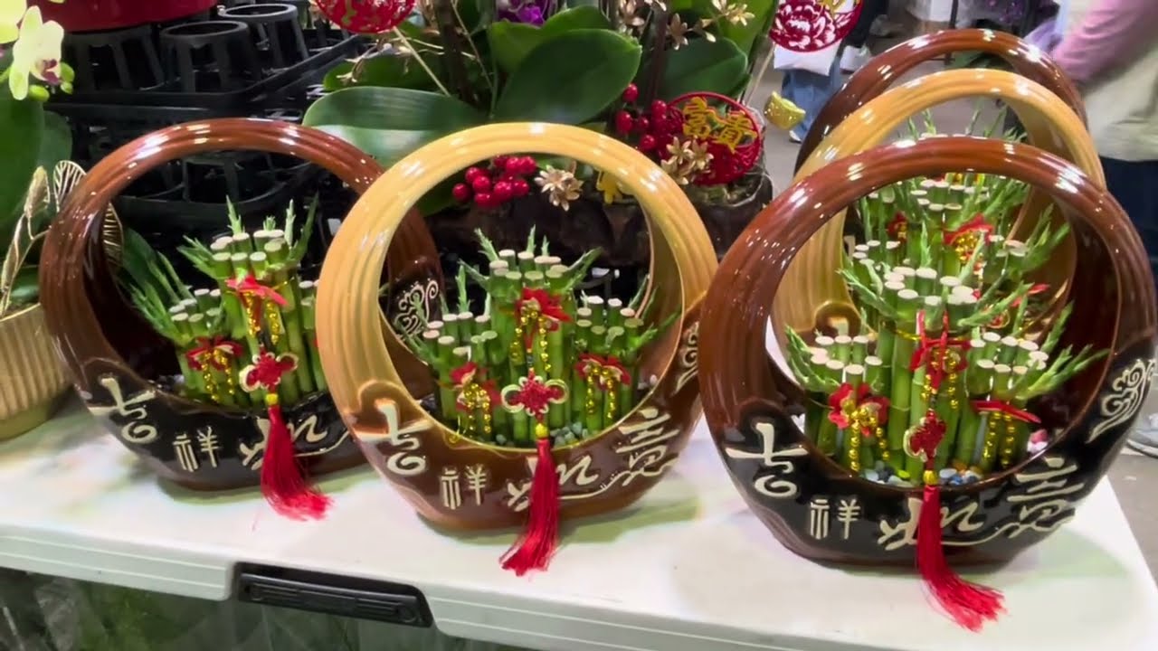 太好買了！恨不得多出一隻手！花美價廉，喜氣洋洋～趁著過年前的假日趕快衝一波～建國假日花市等你來！