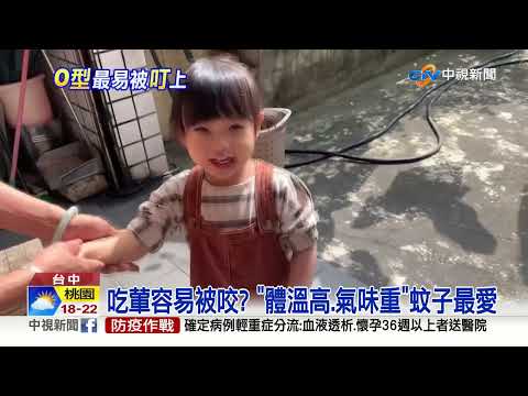 吃葷.體溫高容易被叮? O型.B型人蚊子最愛│中視新聞 20220415