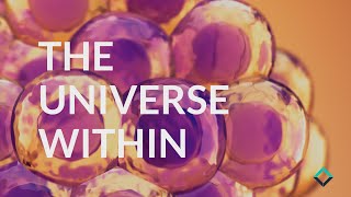 Scientific Visualization: 3D Animation of Cellular Dynamics | Frame Imagery Solutions