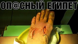 Египет Хургада Кого бояться в Красном море Шокирующая находка на дне 