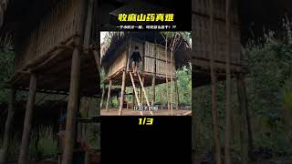 阿寶一個人上山收麻山藥，收獲一根需要一個小時，很是不容易 #農村生活 #荒野求生 #荒野独居 #求生挑战 #生存挑战 #荒野