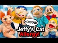 Ref:5PPDcmDd_W8 Sml movie: jeffy's cat allergy!