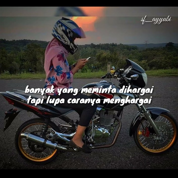 story wa kata-kata tiger herex bijak cocok buat motifasi terbaru