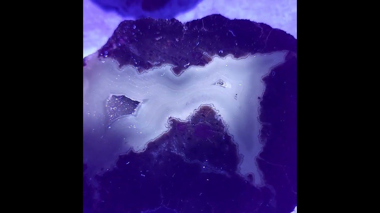 #amazing #haul from #Oregon #friends 🫶🏼