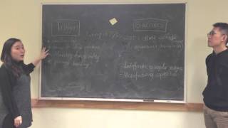 IMC200 Assignment 2