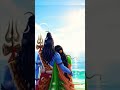 Mahadev Ka Sabse Pavitra Bandhan 💞🙏 #viralshorts #mahadev