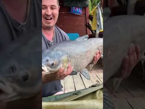 Video: Kanadada Lüks Balıqçılıq Lojaları və Kurortları