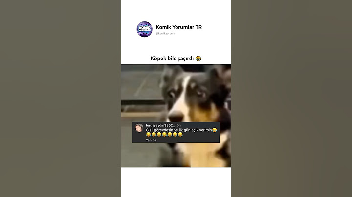 Ajan yakalandı 🥷🐶