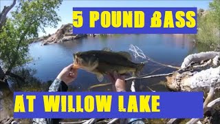 5 Pound Bass at Willow Lake