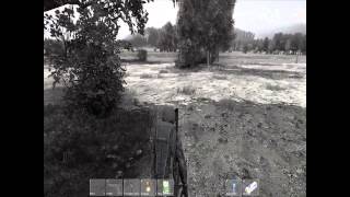 How to fix the blurry screen in Day z standalone