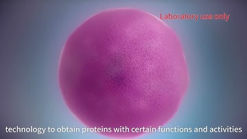 Recombinant proteins expression in E.coli Pichia Sf9, Sf21, HighFive,CHO cell system ChinaPeptides