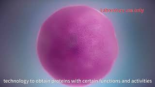 Recombinant proteins expression in E.coli Pichia Sf9, Sf21, HighFive,CHO cell system ChinaPeptides