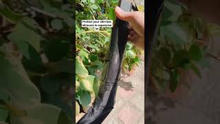 Uv Super Prevent Sun Umbrella Shop Link In Pinned Comment & Description Box