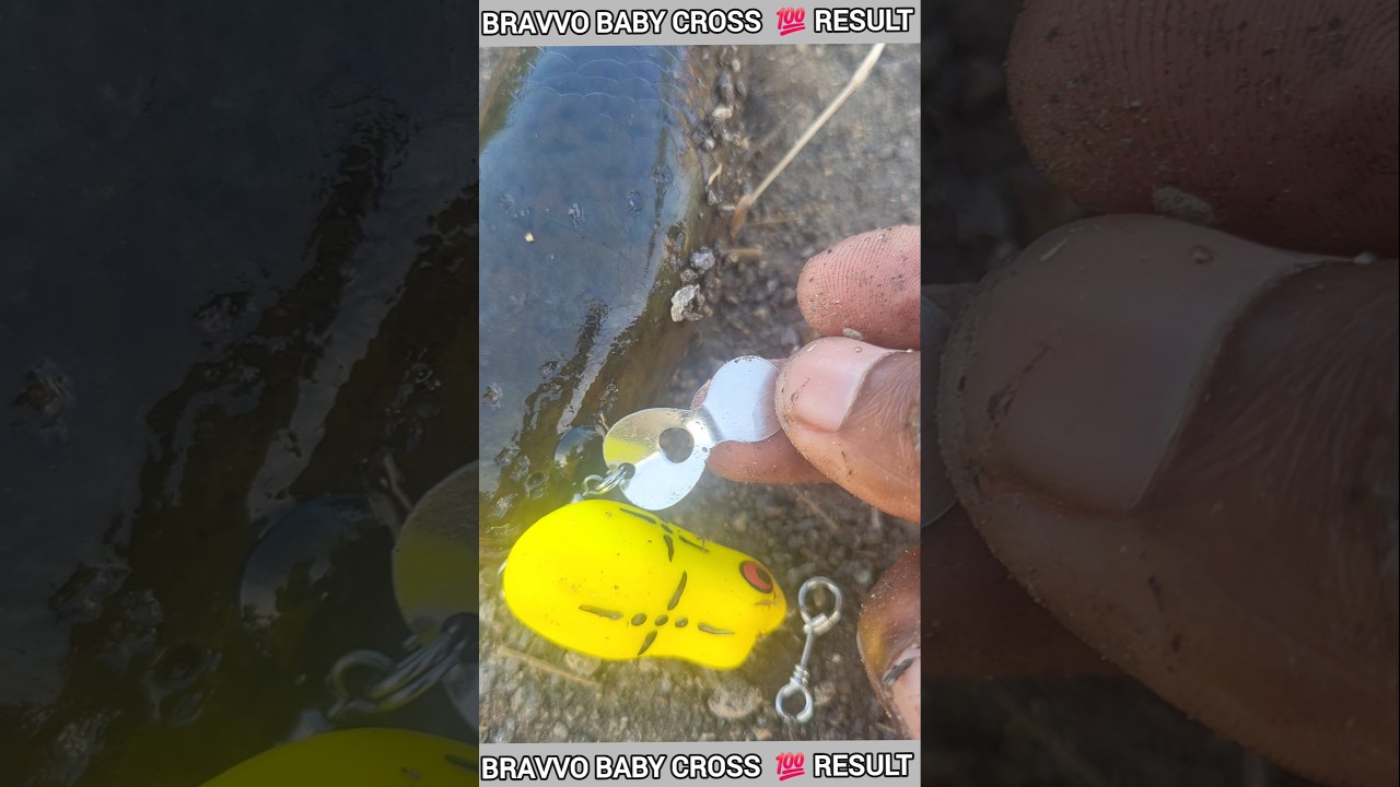 അടിപൊളി റിസൽട്ട് 💯 BRAVVO BABY CROSS FROG 🐸 