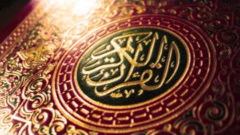 سورة عبس - وليد البكري surah abasa - waleed albakri