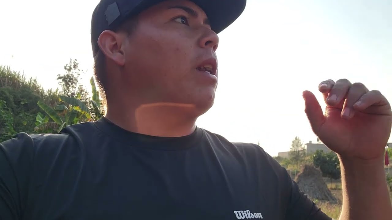 Asi las cosas por aca amig@s 