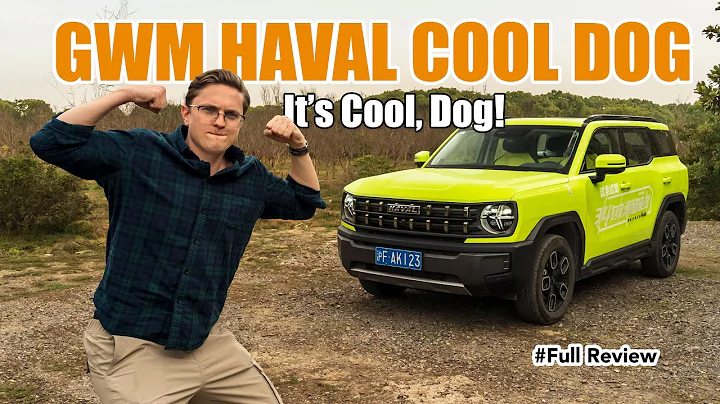 The Haval Cool Dog Is a Stylish Compact SUV - DayDayNews