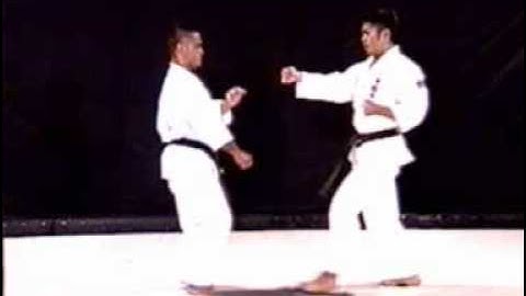 Uechi-ryu Kanshiwa bunkai