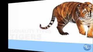 Personality Types - Tigers