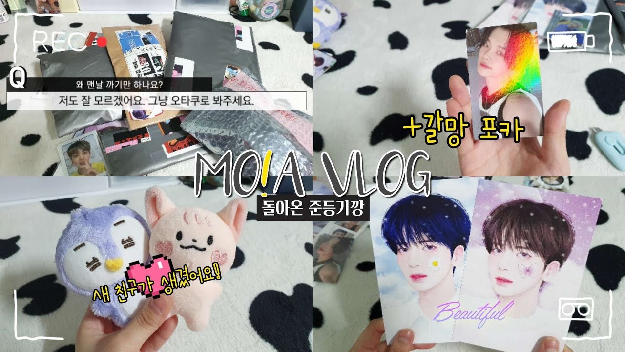 [모아로그] 곧 컴백이지만 준등기깡📮 / 택배깡 / 반택깡 / TXT / 투바투 / 인형 / 갈망포카 / 선물 / 반택깡